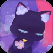 我做壳特好看